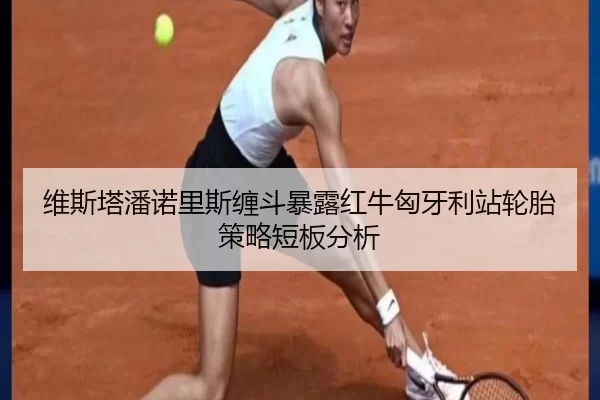 维斯塔潘诺里斯缠斗暴露红牛匈牙利站轮胎策略短板分析